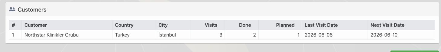 Delbig CRM customer visit report with visits, completed, planned, last visit and next visit dates in English