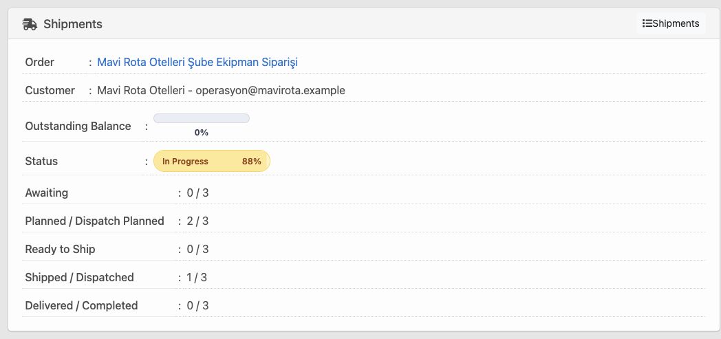 Delbig CRM shipment detail summary with planned, ready, dispatched and completed quantities in English